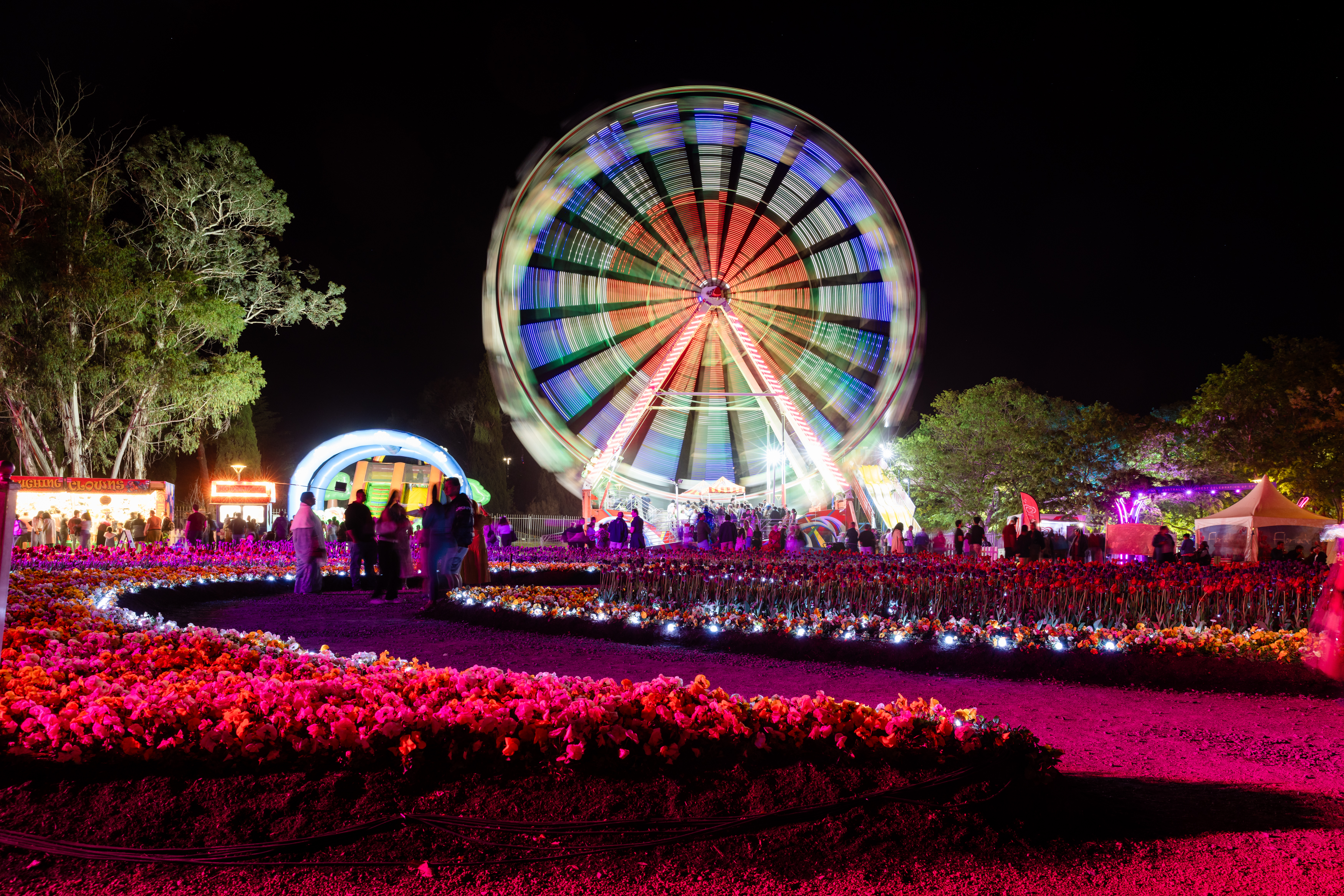 5 Unique Features That Make Canberra’s Floriade Festival Truly Exceptional